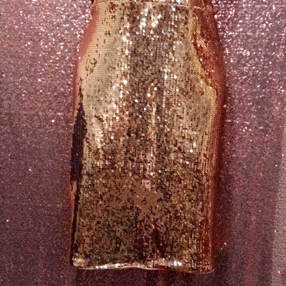 NWOT💕Forever 21 *SZ 1X  Bronze Sequined Dress! Nude Spandex Attached Under Slip - Picture 4 of 9